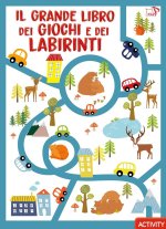 grande libro dei giochi e dei labirinti