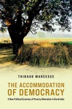 The Accommodation of Democracy