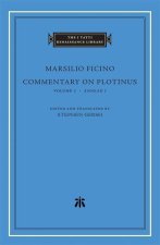 Commentary on Plotinus