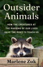 Outsider Animals