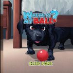 Where is My Ball