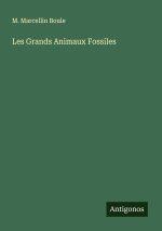 Les Grands Animaux Fossiles
