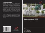 Zastosowania MOR