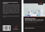 Zaawansowany technologicznie producent