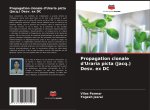 Propagation clonale d'Uraria picta (Jacq.) Desv. ex DC