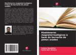 Elastómeros magnetorreológicos ? base de borracha de pneus usados