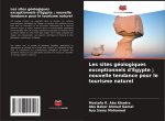 Les sites géologiques exceptionnels d'Égypte ; nouvelle tendance pour le tourisme naturel