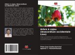 Arbre ? cajou (Anacardium occidentale Linn)