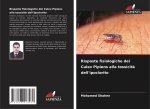 Risposte fisiologiche del Culex Pipiens alla tossicit? dell'ipoclorito