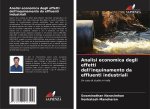 Analisi economica degli effetti dell'inquinamento da effluenti industriali