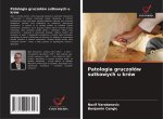 Patologia gruczo?ów sutkowych u krów
