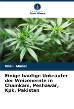 Einige häufige Unkräuter der Weizenernte in Chamkani, Peshawar, Kpk, Pakistan