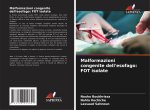 Malformazioni congenite dell'esofago: FOT isolate
