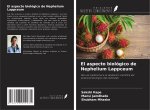 El aspecto biológico de Nephelium Lappceum