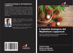 L'aspetto biologico del Nephelium Lappceum