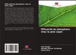 Efficacité du phosphore chez le pois cajan