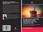 Recuperaç?o avançada de petróleo (EOR) utilizando risers de injeç?o de CO2