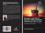Recupero assistito di petrolio (EOR) mediante iniezione di CO2 in riser