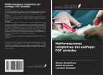 Malformaciones congénitas del esófago: FOT aisladas