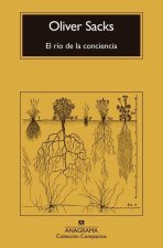 El Rio de la Conciencia
