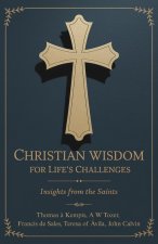 Christian Wisdom for Life's Challenges