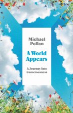World Appears: Exploring the Labyrinth of Consciousness
