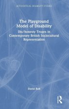Playground Model of Disability