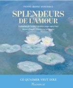 Splendeurs de l'amour