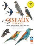 OISEAUX