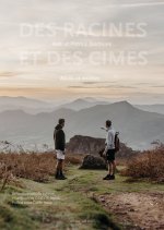 Des racines et des cimes