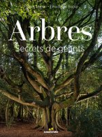 Arbres, secrets de géants