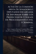 Actas De La Comisi?3n Mista De Senadores I Diputados Encargada De Informar Sobre Los Proyectos De C?3digos De Procedimiento Civil I Criminal