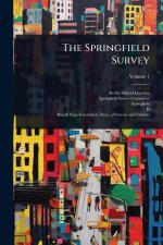 The Springfield Survey