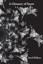 A Glossary of Snow