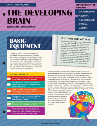 The Developing Brain