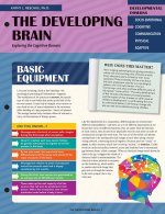 The Developing Brain
