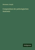 Compendium der pathologischen Anatomie