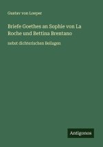Briefe Goethes an Sophie von La Roche und Bettina Brentano