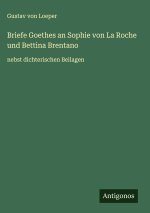 Briefe Goethes an Sophie von La Roche und Bettina Brentano