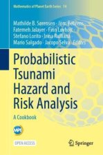 Probabilistic Tsunami Hazard and Risk Analysis