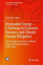 Renewable Energy - A Pathway to Economic Recovery and Climate Change Mitigation