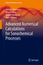 Advanced Numerical Calculations for Sonochemical Processes