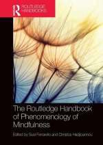 Routledge Handbook of Phenomenology of Mindfulness