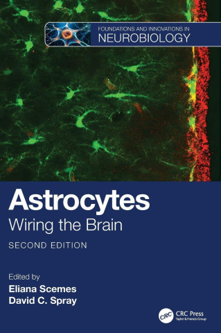 Astrocytes