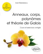 Anneaux, corps, polynômes et théorie de Galois