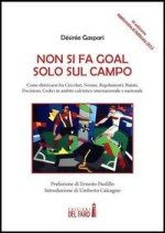 Non si fa goal solo sul campo. Come districarsi fra circolari, norme, regolamenti, statuti, decisioni, codici in ambito calcistico internazionale e na
