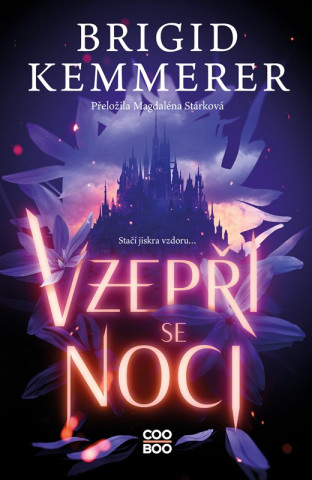 Vzepři se noci (Brigid Kemmerer)(Brožovaná)