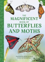MAGNIFICENT BK OF BUTTERFLIES & MOTHS