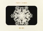 Livre d'images - Flocons de neige