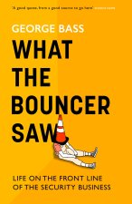 What the Bouncer Saw